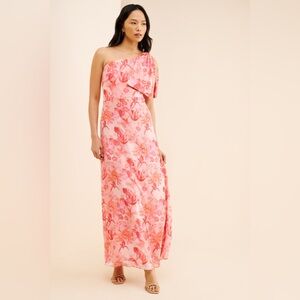Sachin & Babi x BHLDN x Anthropologie Chelsea Floral Maxi Gown sz 18W 18 W